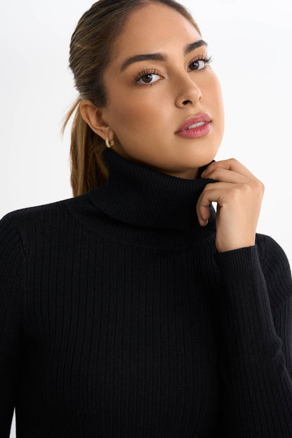 Ribbed Turtleneck Sweater
